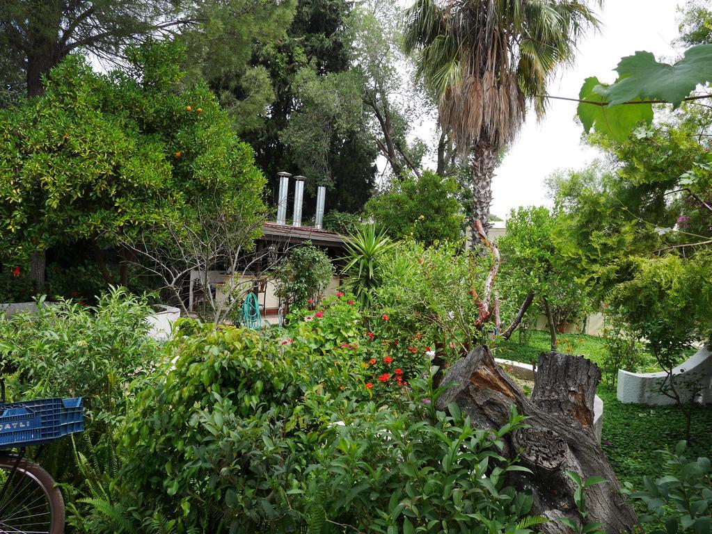 דליאן Longhouse Inn Hotel מראה חיצוני תמונה