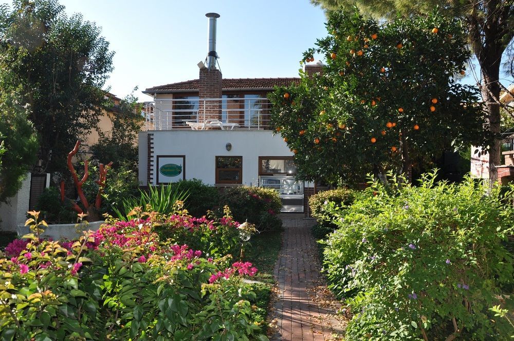 דליאן Longhouse Inn Hotel מראה חיצוני תמונה